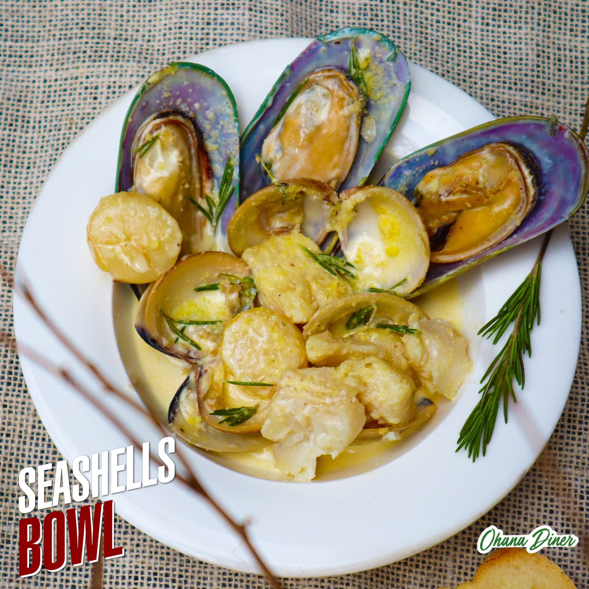 Seashell Bowl